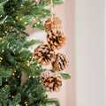 Brown Pinecone Botanical Ornament