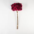 Burgundy Velvet Hydrangea Bundle (Set of 5)