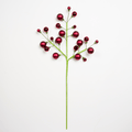 Burgundy Shiny Matte & Ball Spray Pick 27"