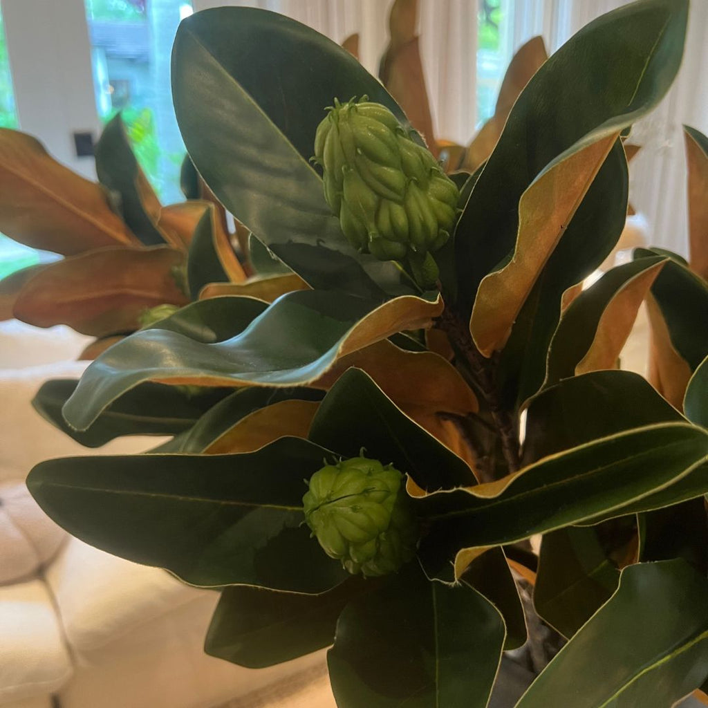 Natural Magnolia Leaf Pick
