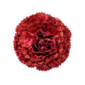 Red Carnation Flower with Glitter