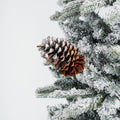 Single Pinecone With Snow Pick